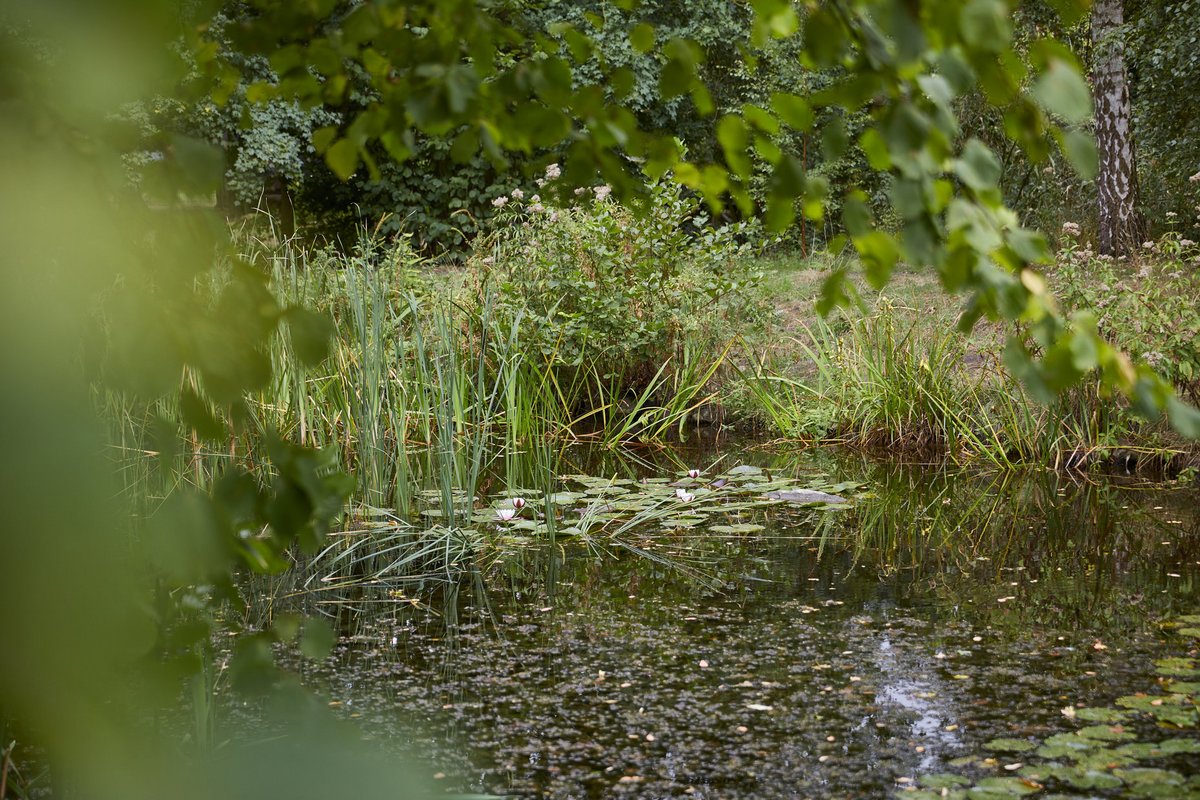 Bachlauf Sinnespark